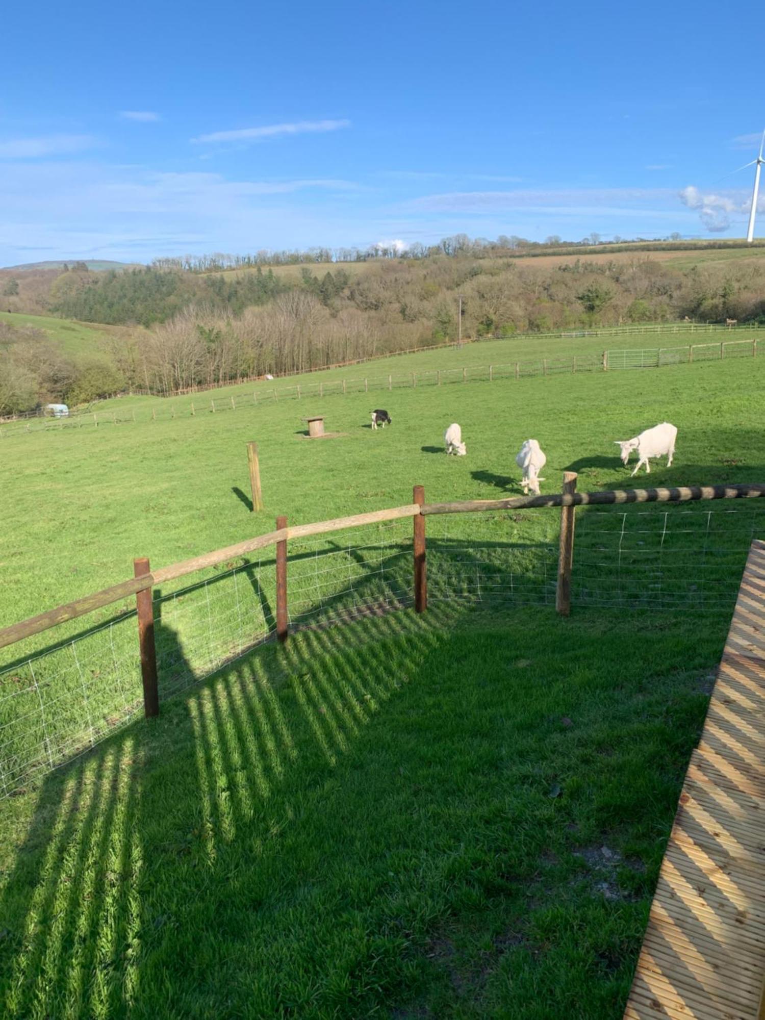 Brook Lodge 2 Liskeard Εξωτερικό φωτογραφία