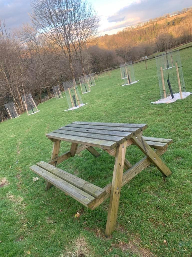 Brook Lodge 2 Liskeard Εξωτερικό φωτογραφία