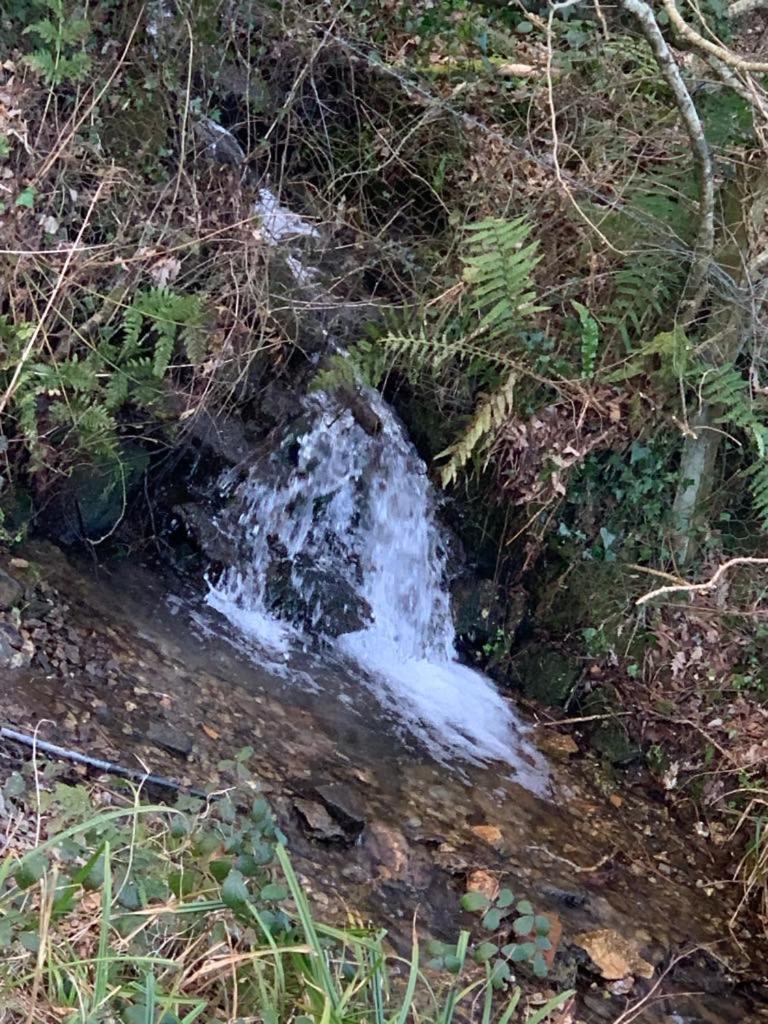 Brook Lodge 2 Liskeard Εξωτερικό φωτογραφία